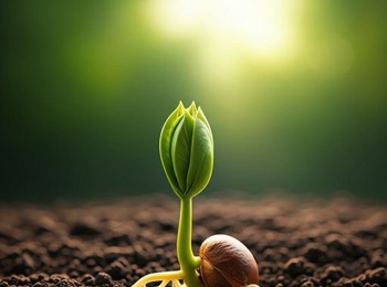 Вітаємо переможців І туру Всеукраїнського студентського творчого конкурсу «Збереження родючості ґрунтів»