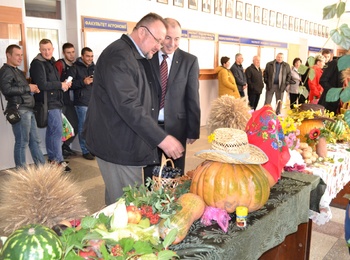 Виставка композицій «Дари осені»